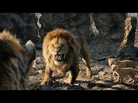 ryanpendzik2's tweet image. who wins and why 2016 shere khan vs mufasa 2019