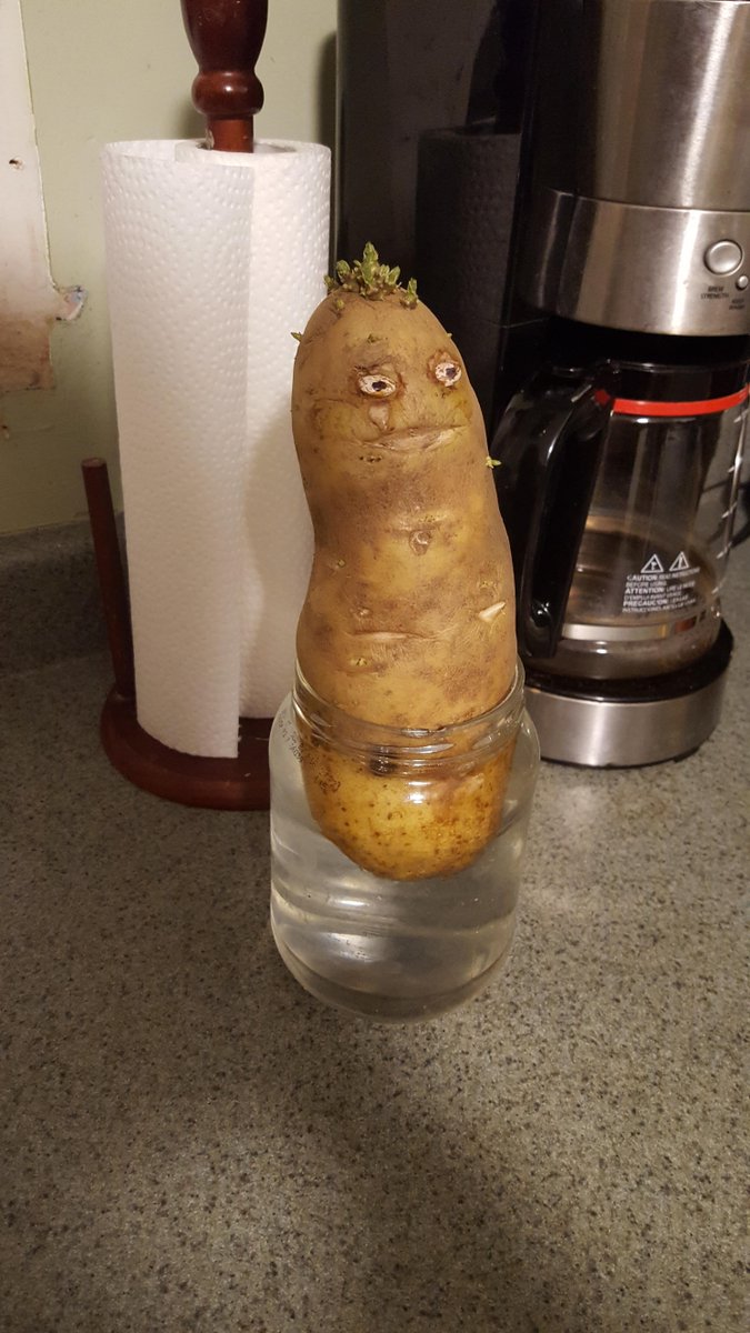 Смешная картошка картинки