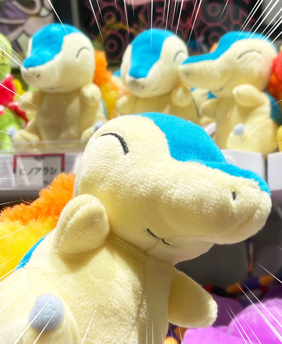 Poke'mon Petit Pastel ヒノアラシ ポケモンセンターPetit Pastel