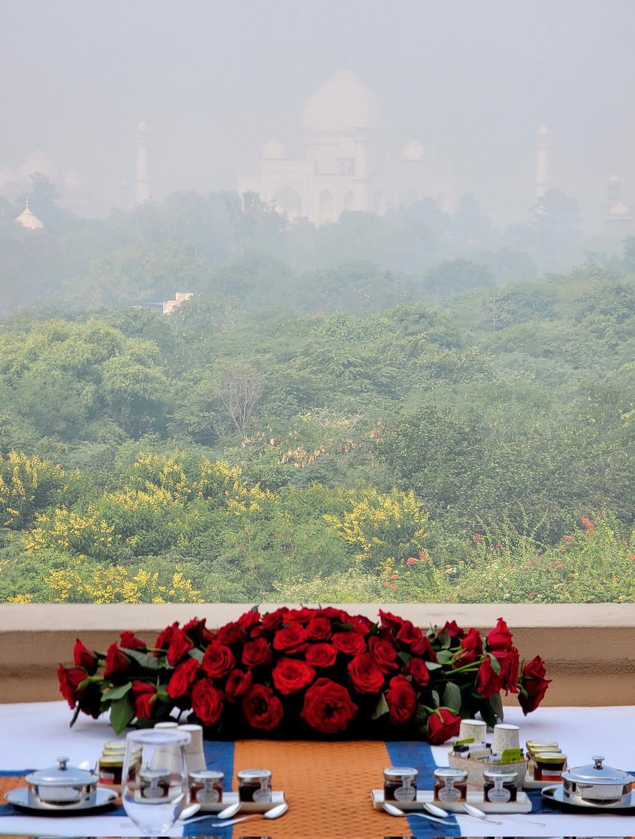 VikasChaudhaary's tweet photo. Breakfast at Amarvilas, with the Taj Mahal rising out of the winter mist. #TajMahal @OberoiAmarvilas , Agra ❤️ https://t.co/LvQY0RrDTA