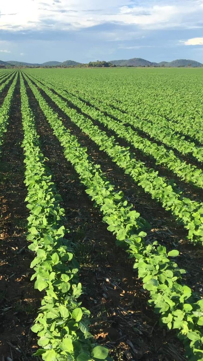 New Year Message from Dr John Basera <a href="/basera_john/">John Basera</a> Permanent Secretary in the Ministry of Lands, Agriculture, Fisheries, Water and Rural Development @MoLAFWRR_Zim <a href="/agribusinesszw/">Agribusiness Media</a> <a href="/WendyMadzura/">Wendy Matashu Madzura</a> <a href="/zimagricsociety/">Zimbabwe Agricultural Society</a>
<a href="/AMAofficial_zim/">Agricultural Marketing Authority</a> <a href="/arda_zim/">Agricultural and Rural Development Authority</a>
<a href="/MudhumeniMukuru/">MUDHUMENI MUKURU</a>

thehararetimeszw.com/2022/01/02/new…