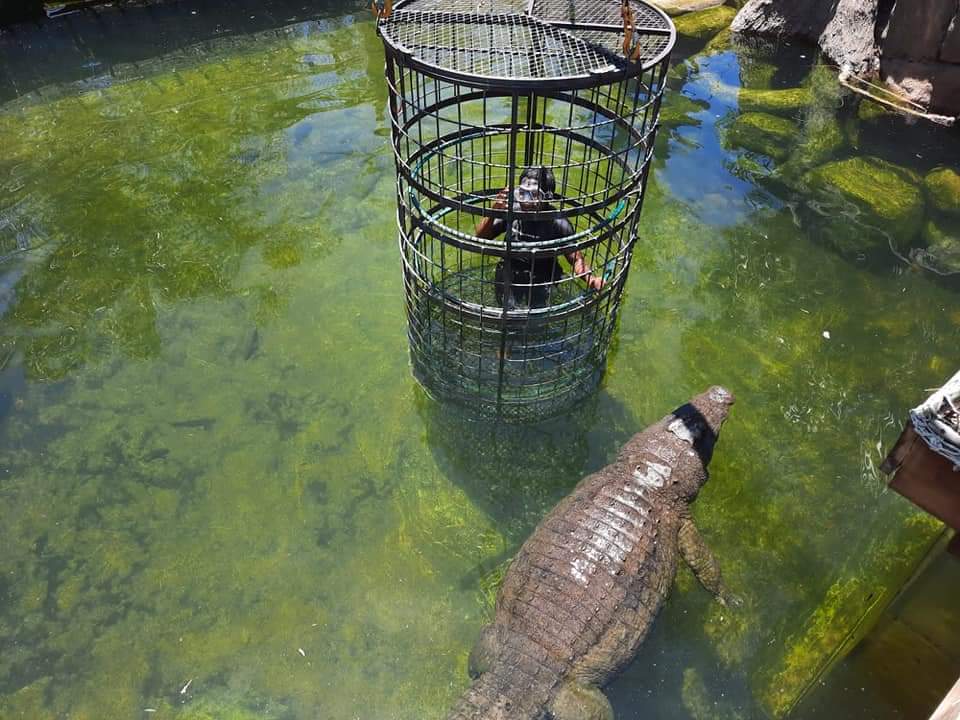 Mutengesi Wembatya tweet media