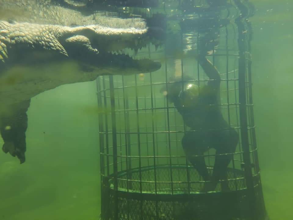 Mutengesi Wembatya tweet media