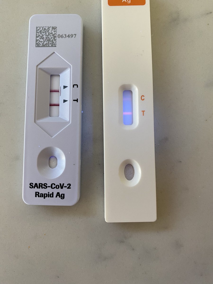 Prunella Blinman tweet media