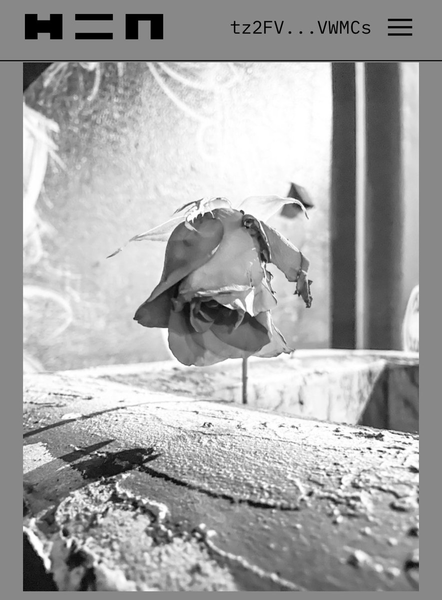 FactzMiami's tweet photo. Happy New year @NFTindonesia_ @NFTGalIery @nftcollectorguy and all others! New year! New goals! New mints! Same drive 🔥 🔥 

@tezosmiami,  is my New photography based page! Strictly black and white photography of life’s contrast in Miami.
https://t.co/SasztPM4YN https://t.co/yAu1f81RPm