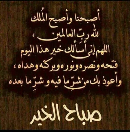 mshagba600's tweet photo. اللهم أنت حسبي حين تضيق الحياة 
وأنت المنتصر حين يغلبني الوجع  
وأنت عوني ونجاتي حين أفقد الحيلة https://t.co/rTi7ilsQra