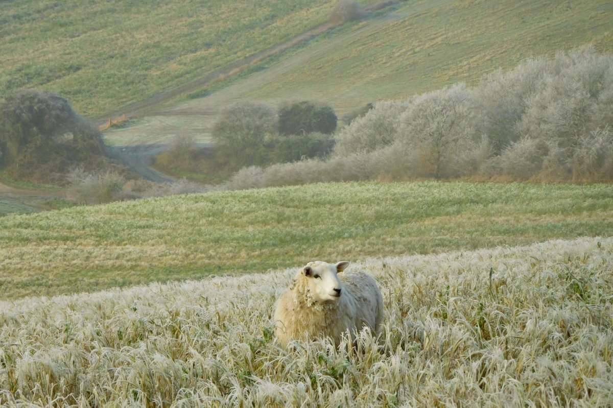 If you have The Lewes Calendar you get to have this on your wall for a month - by Gerry Ure! 

Buy your copy now at lovefromlewes.co.uk /The Outdoor Shop or The Workshop (Jonathan Swan)