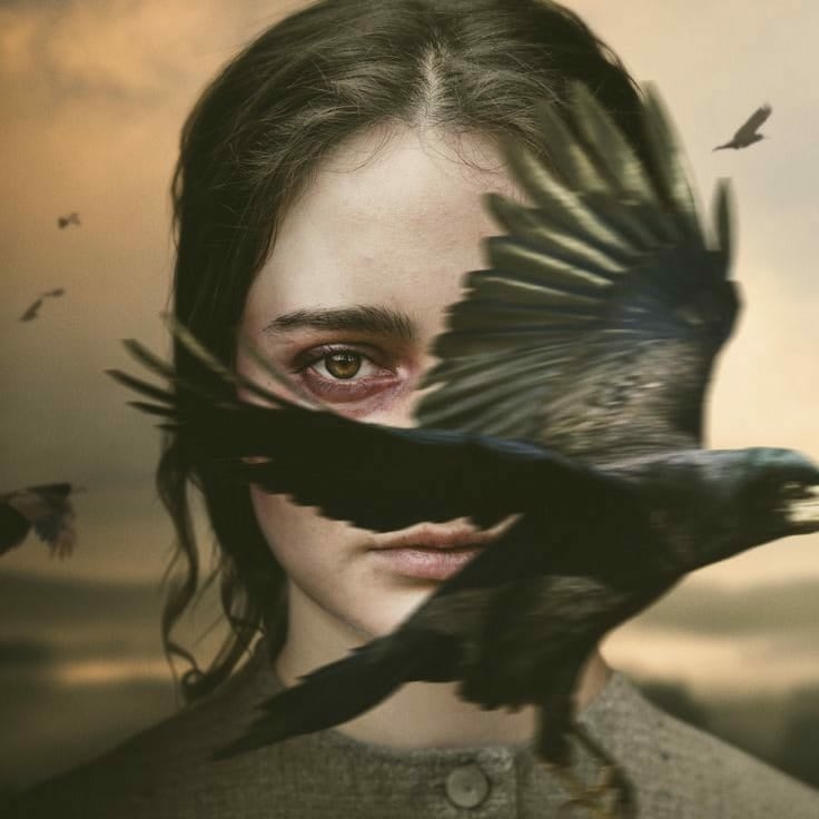 AnthoBenguigui's tweet photo. #TopFilms2021 #TopOf2021
🥇 The Nightingale 
🥈 Annette
🥉The Last Duel
4 La loi de Téhéran
5 Benedetta 
6 A l'abordage 
7 Petite Maman
8 Gagarine
9 Fils de Plouc
10 Mandibules 

Et quelques recommandations https://t.co/Fenog1BpTR