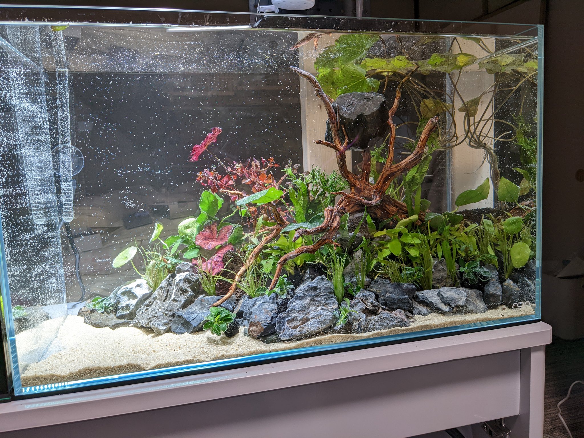 Tweets With Replies By Exbuyer Slamerumaibou Twitter