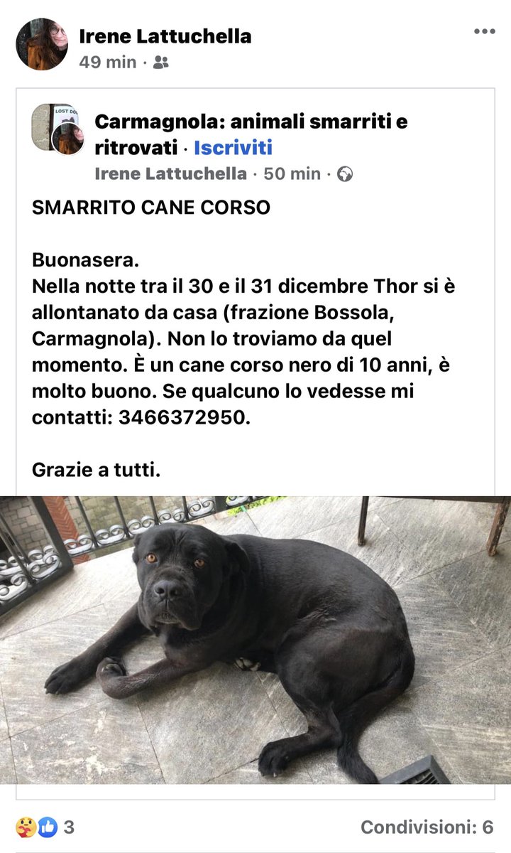 rvnsmu's tweet photo. Mi aiutate a condividere soprattutto se siete di Torino e d’intorni?

È il cane di una mia amica. Si è smarrito qualche giorno fa. È grande e grosso ma è buonissimo, si chiama Thor. 

Se siete di Carmagnola e lo vedete, chiamate il numero dell’annuncio o scrivetemi! 🙏🏻😢 https://t.co/1gilBK2L38