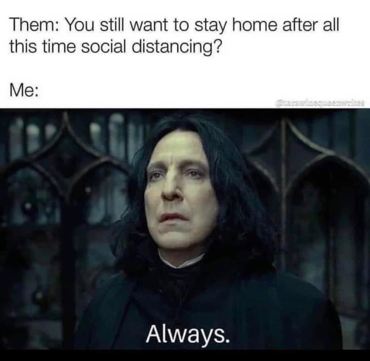 Happy World Introvert Day! 

I shall be celebrating by staying at home with the cat. 

#worldintrovertday