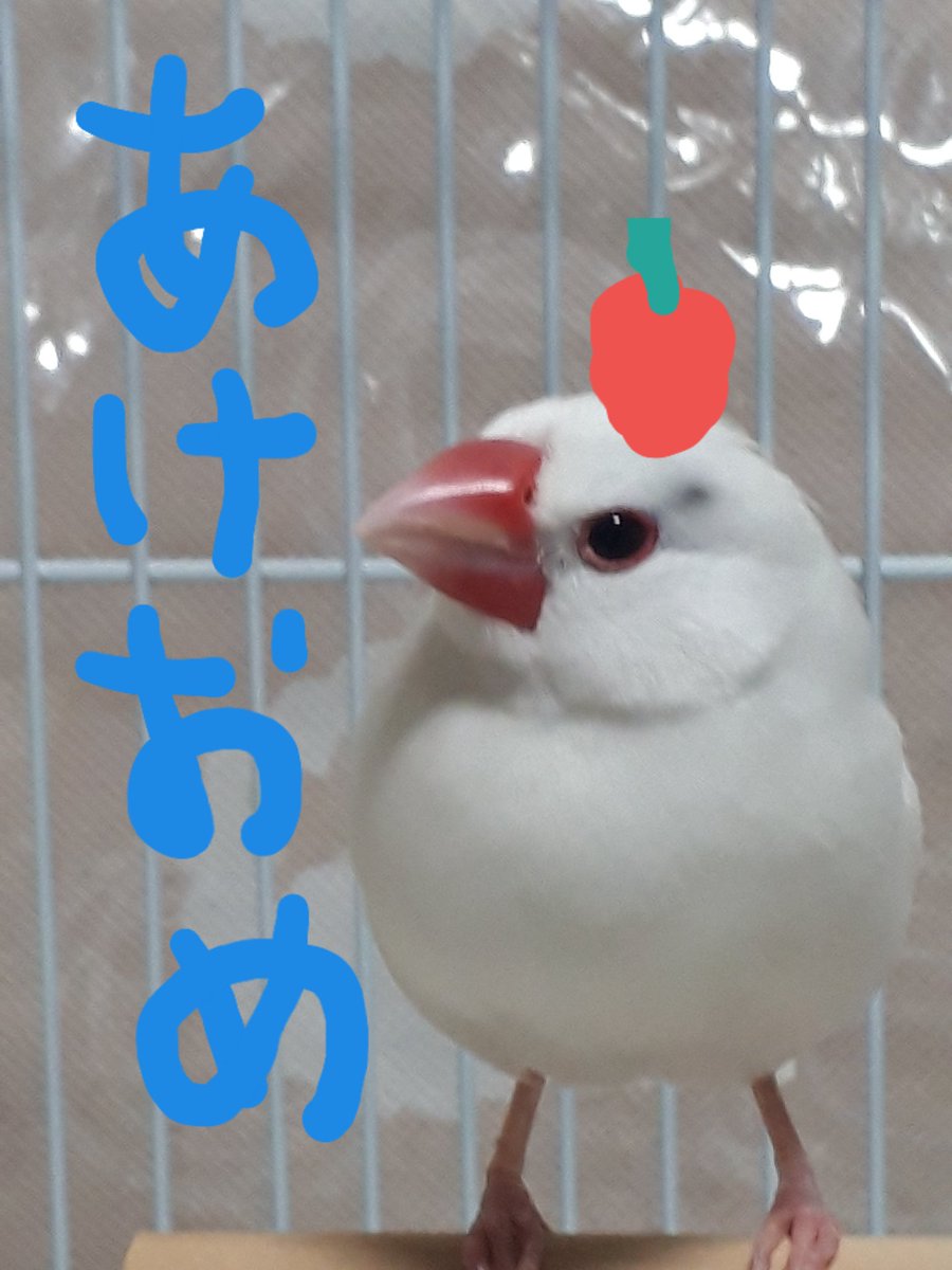 asaya302's tweet photo. https://t.co/KBjlQVcXuS