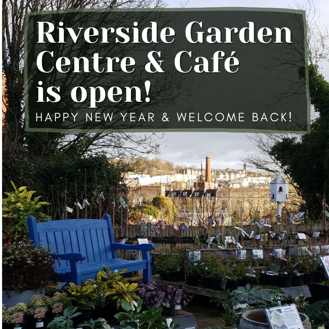 Riverside Bristol tweet media