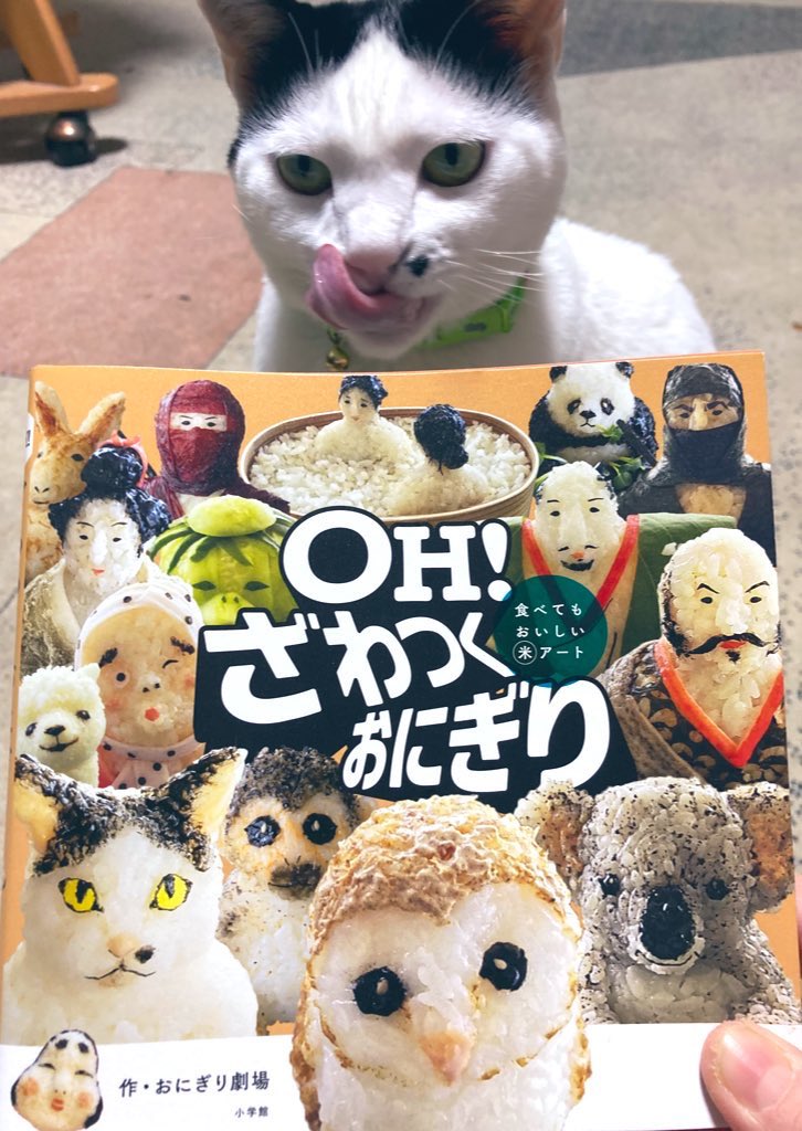 hakupoo0203's tweet photo. 《ウチのにゃこ🐈🐾》

あけましておめでとうございます✨
こちらはほぼ更新していませんでした🙇‍♀️💦3匹は元気です❣️去年はポコが@mZHtgivNQr33RCL さんの｢OH！ざわつくおにぎり｣の表紙になり嬉しいデビューとなりました👏
@pan_hidamari ぱんの店ひだまり
↑こちらで3匹に会えます♪

#ハチワレ #猫 https://t.co/QEHPvXmX5X