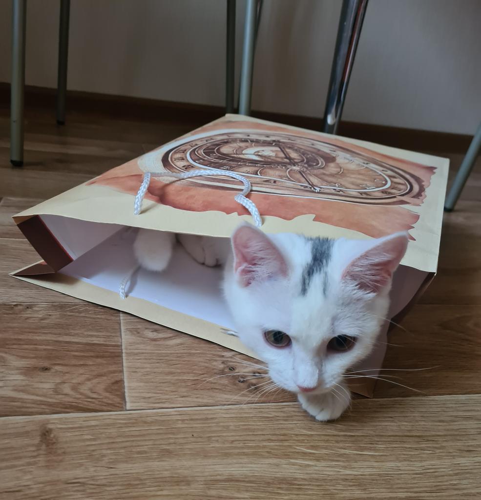 Ossanchik's tweet photo. Коробки наше все...
Пакеты наше все... https://t.co/0Zgjosudvt
