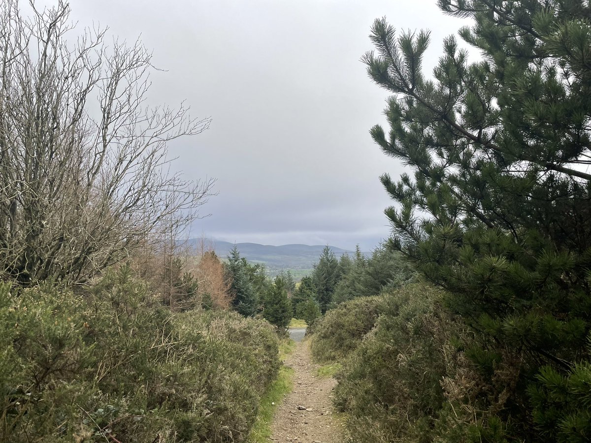 mringster's tweet photo. Early day 2/100 walk, Sliabh Thuaithaill was nice &amp; quiet. #100daysofwalking #100crew #walklocal https://t.co/i4S05dC5z7