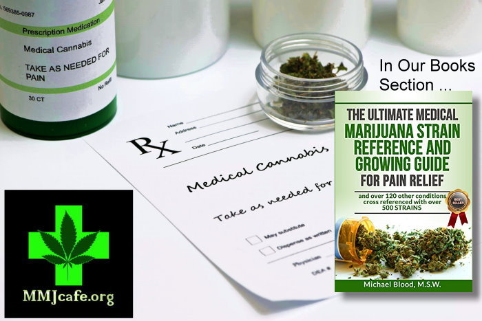 #CannabisCulture - #follow
 <a href="/sistaSarahBK/">Sista Sarah</a>
 <a href="/HighImHarvey/">StonedSimmer</a>
 <a href="/DopestMegEsq/">Megan Roper</a>
 <a href="/Bboiplays/">Bboi</a>
 <a href="/ocpharms/">OC Pharm</a>
 <a href="/GoodfellasSD/">GoodfellasSmokeShop</a>
 <a href="/fardown20/">C2020</a>
 @smith58_robert
 <a href="/Kunzitoons/">Kunzitoons</a>
 <a href="/1A4_Time4Change/">1A4</a>
#MMJ #MedicalMarijuana #MedicalCannabis #Cannabis #Weed #THC #Terpenes