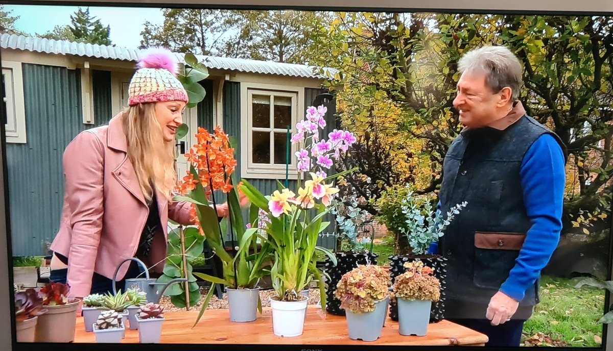 plantagogo's tweet photo. Did you catch our plants Heuchera 'Frilly'on #loveyourweekend just now?
It was included in plants to collect on the program
They looked great don't you think ?
Alan and Camilla are such a great combo π
I love this program
#UKbred
#UKGrown
#Heucherafrilly
#RhsMasterGrower https://t.co/G9sZFVGh1o