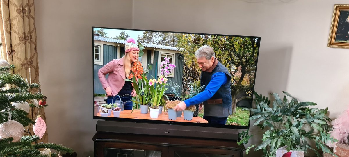 plantagogo's tweet photo. Did you catch our plants Heuchera 'Frilly'on #loveyourweekend just now?
It was included in plants to collect on the program
They looked great don't you think ?
Alan and Camilla are such a great combo π
I love this program
#UKbred
#UKGrown
#Heucherafrilly
#RhsMasterGrower https://t.co/G9sZFVGh1o