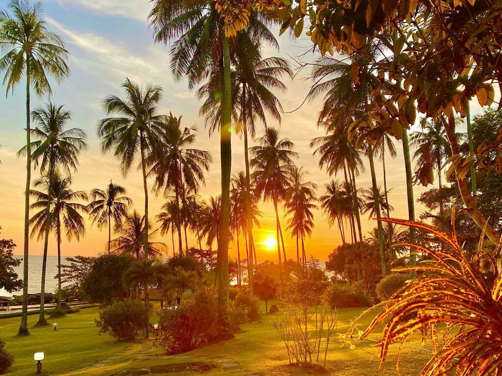 d_photodesigner's tweet photo. grateful to be able to come and for being welcomed so warmly #shantaa #shantaakohkood #shantaaresort #kohkood #kokut #thailand #landscapephotography #kenschluchtmann https://t.co/Q9CFrt480b https://t.co/SvbN4H3WG3