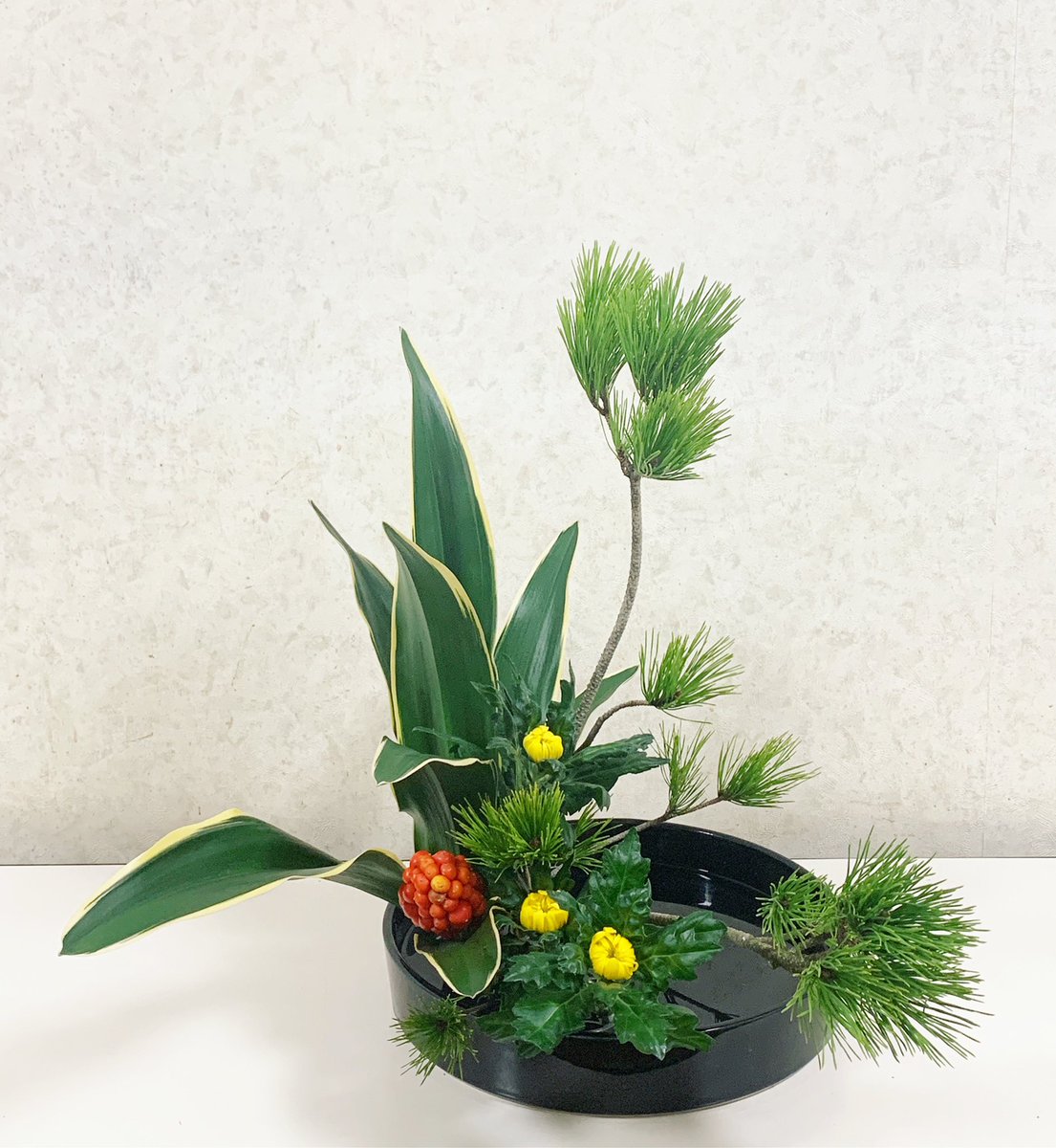 kana160cm's tweet photo. お正月のお花をいけました。

#万年青 #小松 #中菊 #いけばな #小原流 #花 #花のある暮らし #文化 #伝統 #芸術 #伝統文化 #古典 #インテリア #デザイン #癒し #ikebana #ohararyu #flower #florist #art #design https://t.co/GWW9ISCA7c