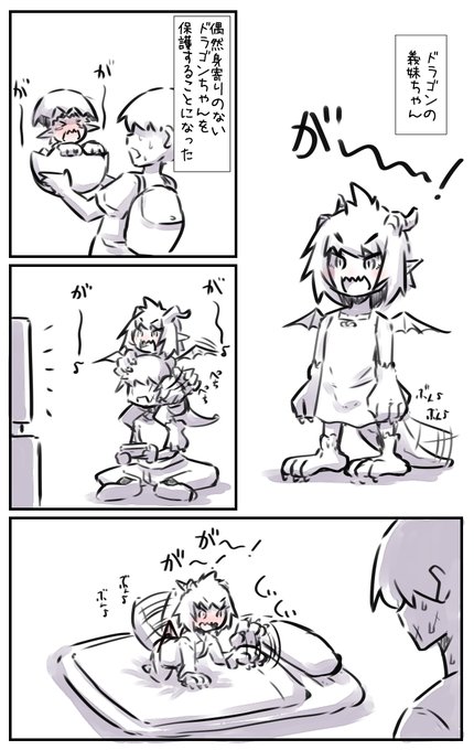 ドラゴンの妹ちゃんの宝物 