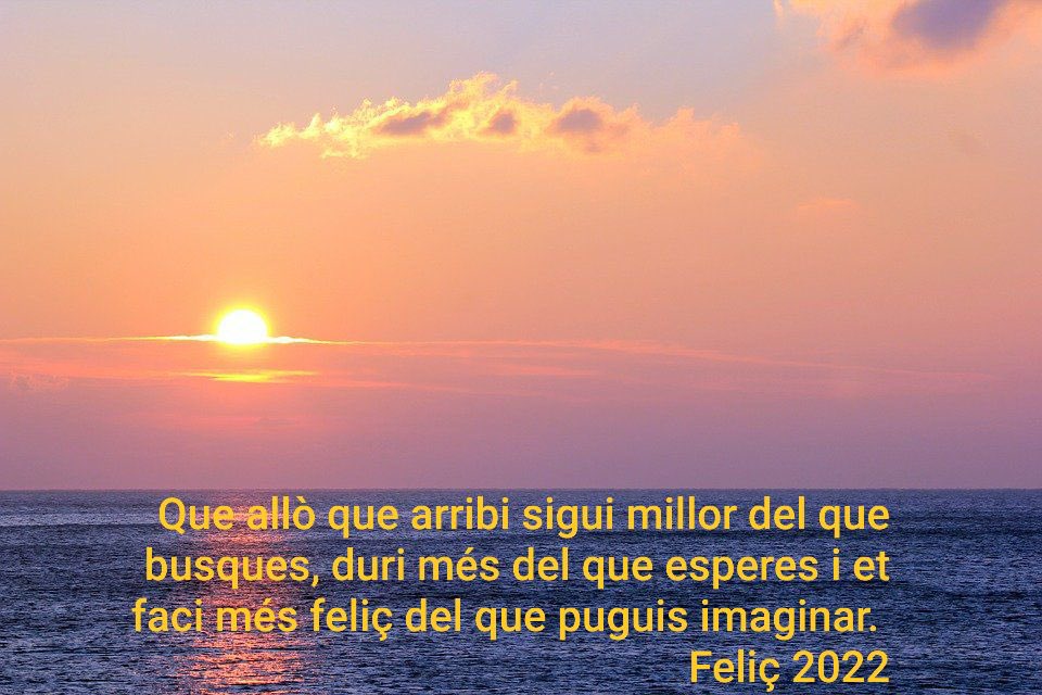 FEDACSantaColoma tweet media