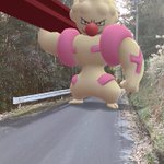 ポケモンGOがバグったことで？巨大なドテッコツに襲われる!