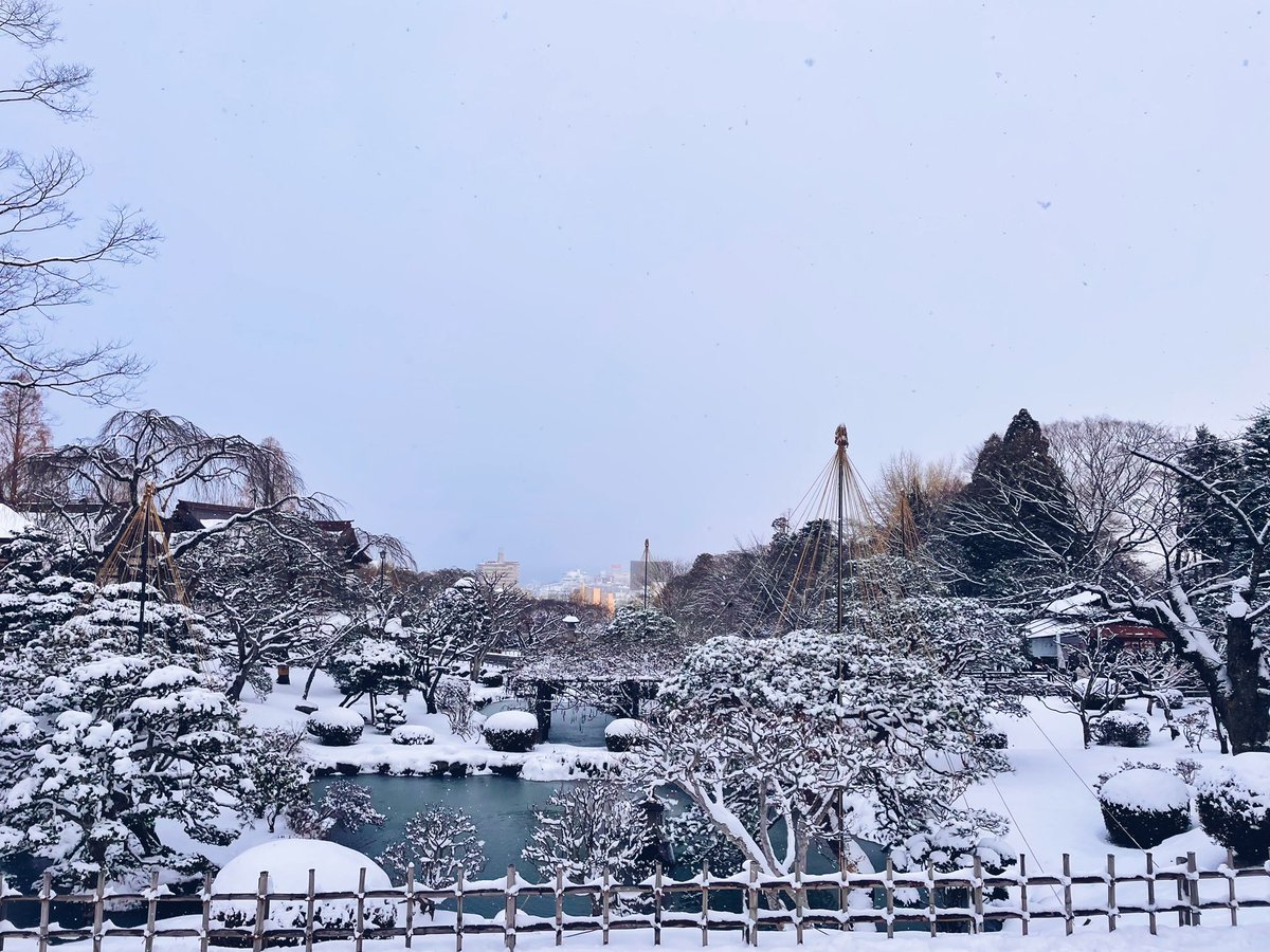 Many0606's tweet photo. あけましておめでとうございます🐯
#初詣
#塩釜神社
#塩釜神社⛩
#雪景色 https://t.co/B6dAh5sLix