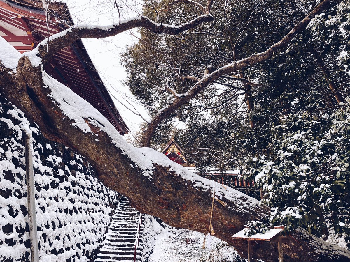 Many0606's tweet photo. あけましておめでとうございます🐯
#初詣
#塩釜神社
#塩釜神社⛩
#雪景色 https://t.co/B6dAh5sLix