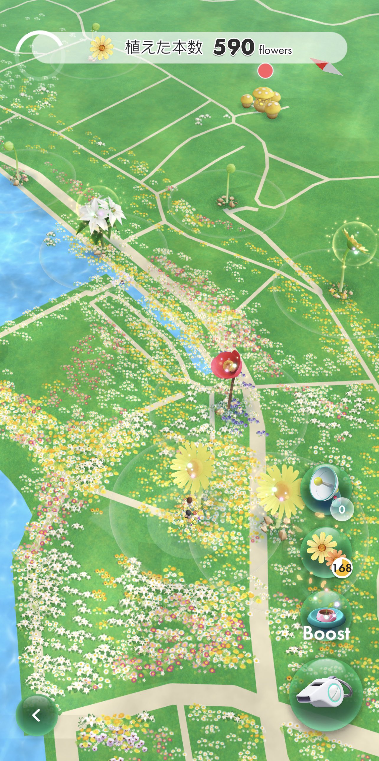 Sasha J Sasha Twitter