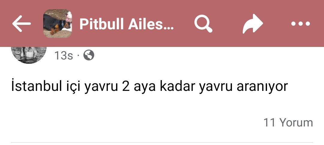 VadininGunlugu's tweet photo. Kanunda satışı yasak olan ırkların, Facebook'ta satışlarının devam ettiğini biliyor musunuz? Güncel resimler bunlar. Ama olsun, biz sokak köpeklerini toplayalım, dağa taşa atalım, öldürelim, değil mi? #barınaktaoelueyoruz https://t.co/31CCHB5CAQ