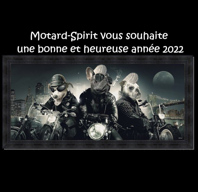 seb27500's tweet photo. Bonne et heureuse année 2022🎊 https://t.co/ViWbQhduJZ
