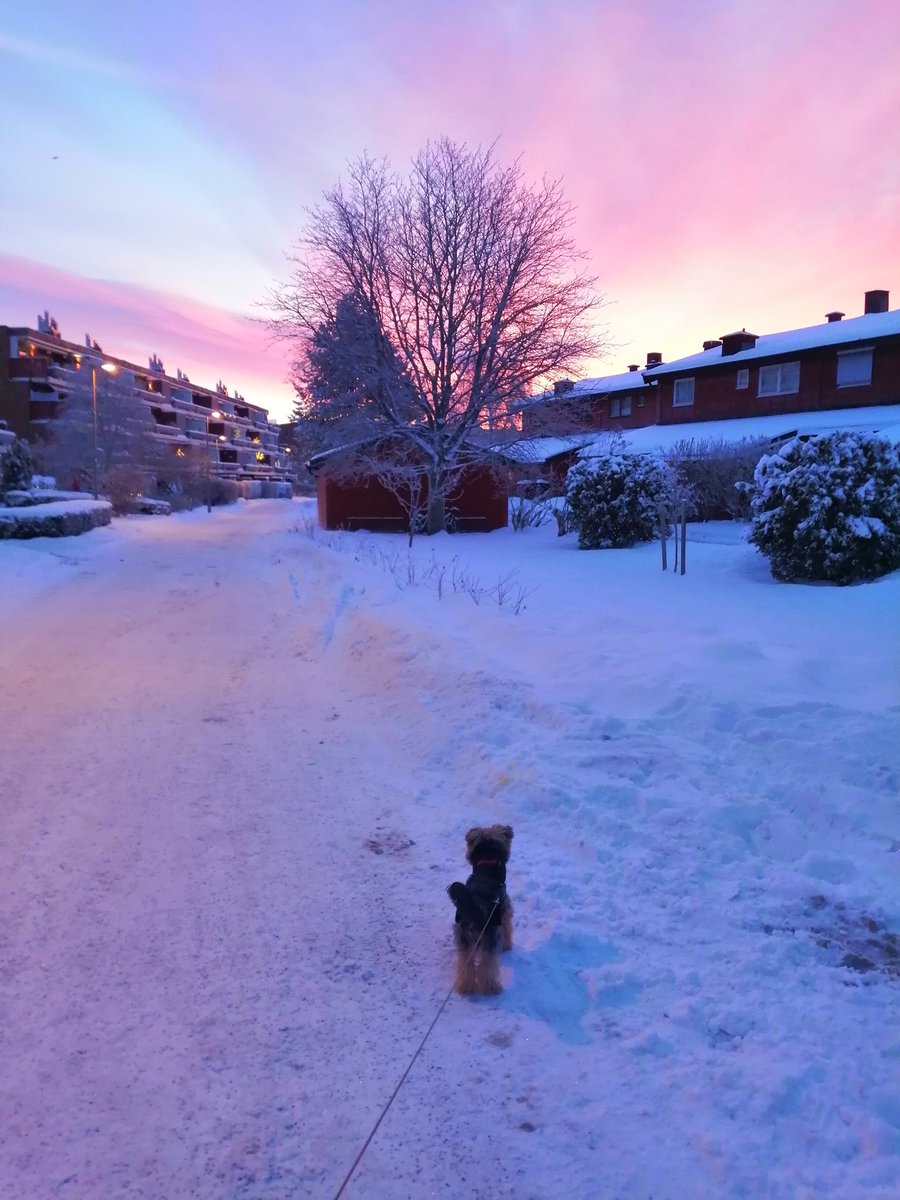 EWigdis's tweet photo. Ut på tur, aldri sur! ❤️
#morgengry https://t.co/ac2l560s7Q