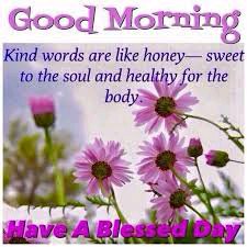 AkkoGid12's tweet photo. #F_LIKE_N_RETWEET🔁
@1firj 
@0Ain_
@4e1_1
@1MSQ7 
@bklamsal
@ganseykid 
@SHD_1969 
@ginaaaa345 
@witchhusband
@NationalCargoM2 
@Governor8358621
@adamu_adamsiy
@abdoullmuhd
@UbaidKhaan
@Baloch_786_
@Wasi_600 
@binzood4 
@ToteronT
@rshd_69
@OBintS1 
@Flowi_s 
@IsoaG
@03jli3
@_at54 https://t.co/NZMV1RiYDG