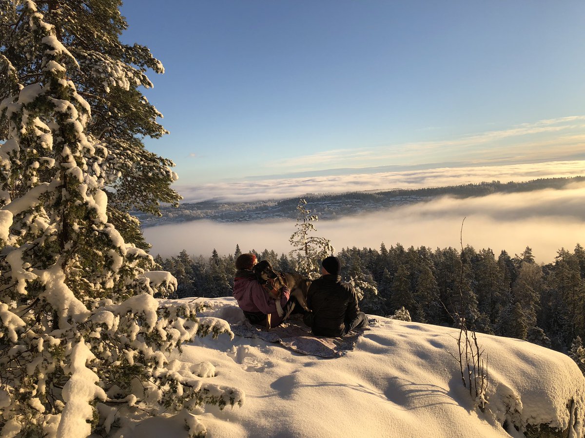 Rubbastuff's tweet photo. Walking the dog in the woods up behind my sister’s house. Miles and miles of footpaths and cross country ski tracks with occasional openings in the trees leading to amazing viewing points like this one.
Not a bad spot.
#norway #snow #view #sitmat #picnic #norway🇳🇴 https://t.co/4zIwO7v7gr