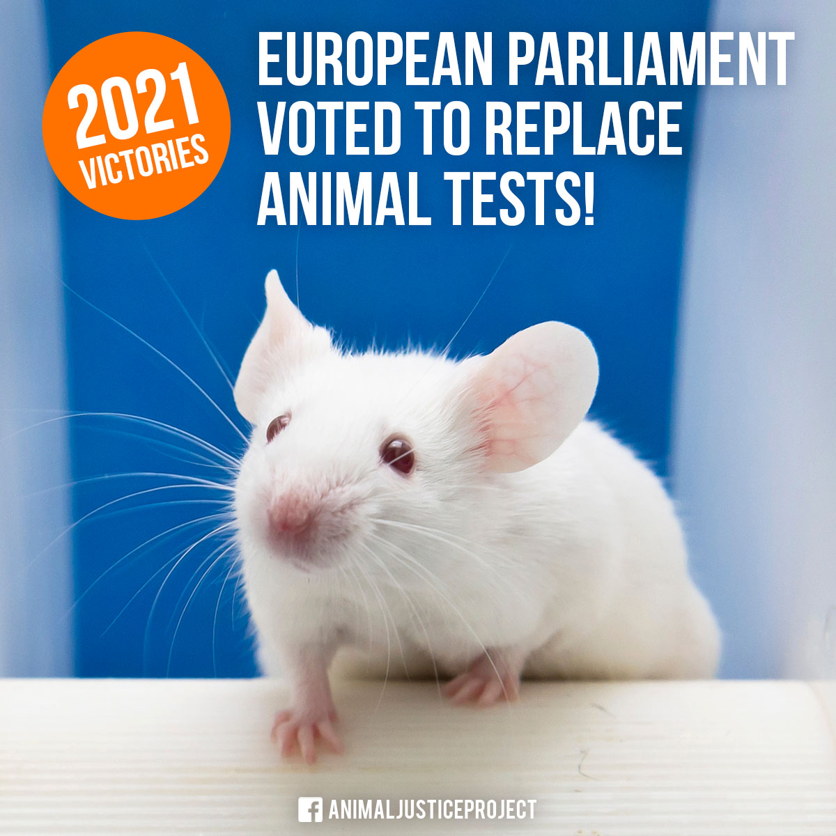 AnimalJusticeProject on Twitter: AnimalJusticeProject on Twitter:
