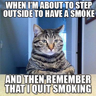 vape smoke meme How To Smoke A Vape Thc What You Need to Know About Vaping-Related Lung  Illness main image 0