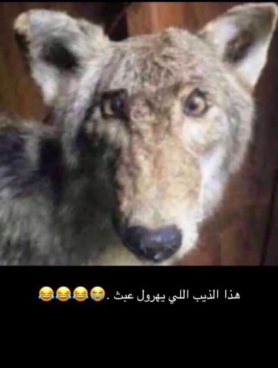 hammad555666's tweet photo. @security_gov 00 https://t.co/eWMm1PGsKZ