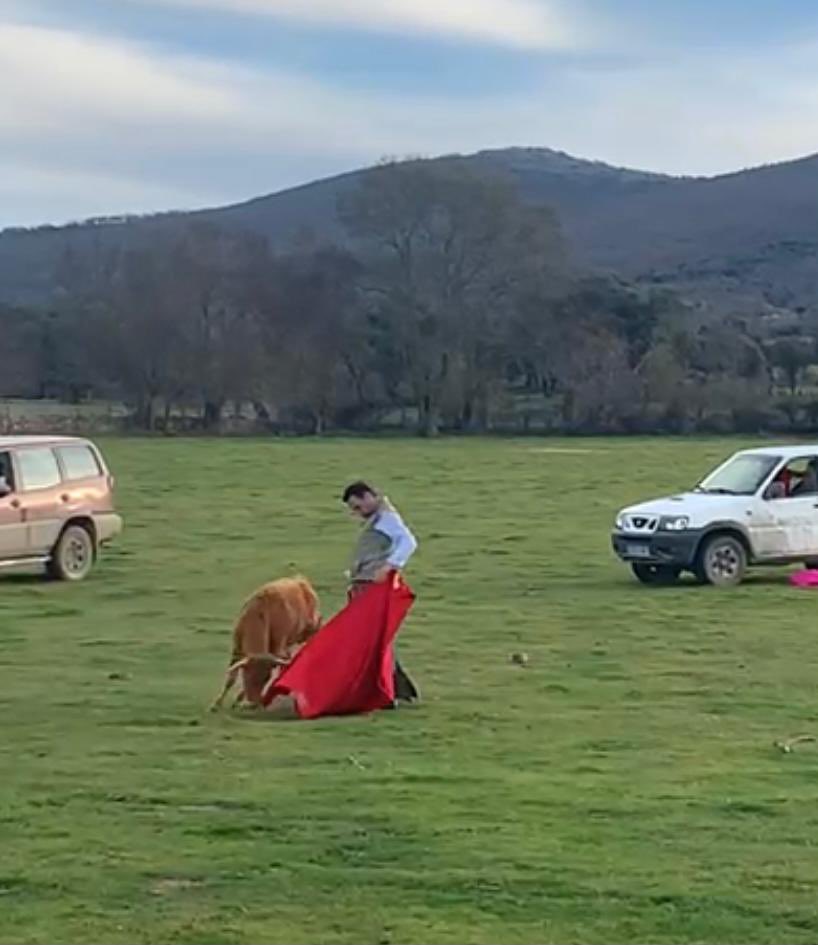 toros_ELPILAR's tweet photo. Cada vez que celebramos la vida, lo hacemos con el toro como protagonista! Esta es nuestra forma de darle la bienvenida al 2022!!! Brindemos por un gran año https://t.co/b1kOgWtSQA