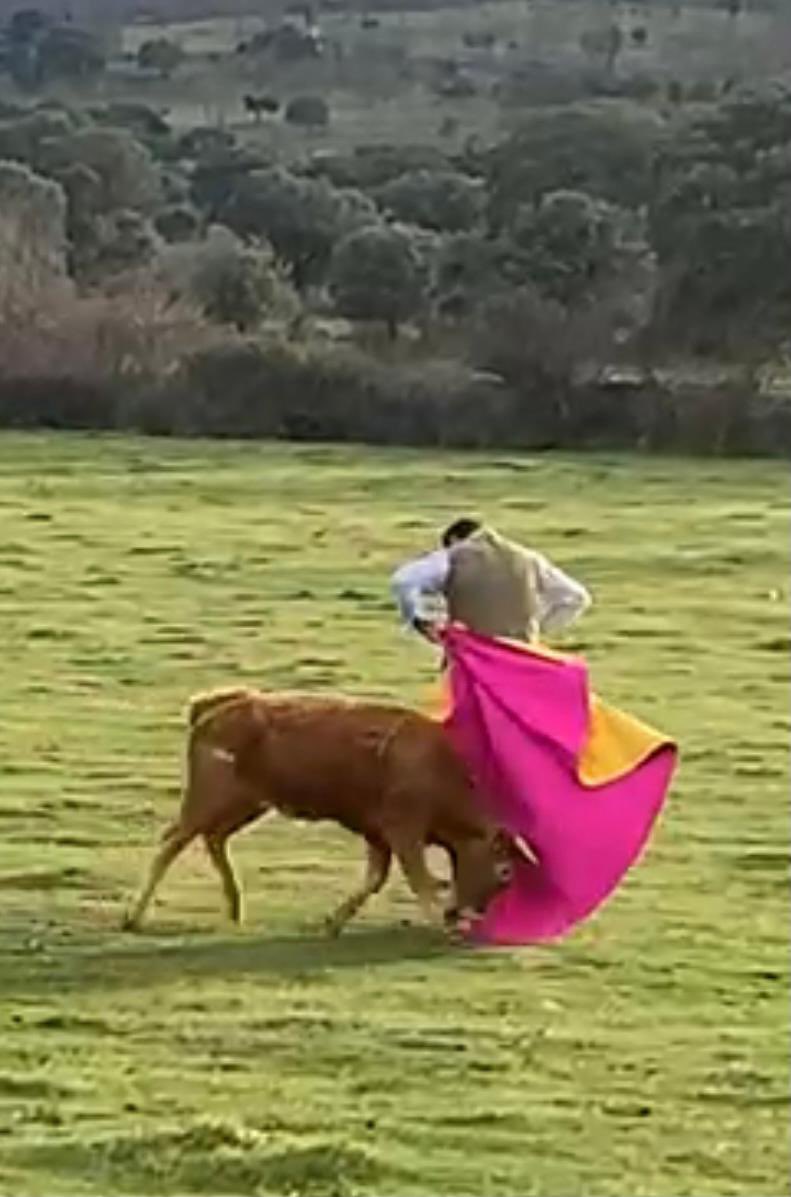toros_ELPILAR's tweet photo. Cada vez que celebramos la vida, lo hacemos con el toro como protagonista! Esta es nuestra forma de darle la bienvenida al 2022!!! Brindemos por un gran año https://t.co/b1kOgWtSQA