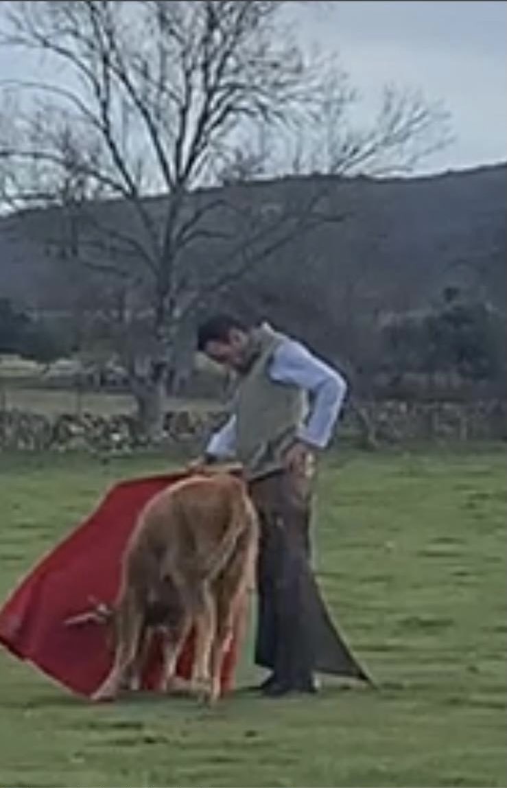 toros_ELPILAR's tweet photo. Cada vez que celebramos la vida, lo hacemos con el toro como protagonista! Esta es nuestra forma de darle la bienvenida al 2022!!! Brindemos por un gran año https://t.co/b1kOgWtSQA