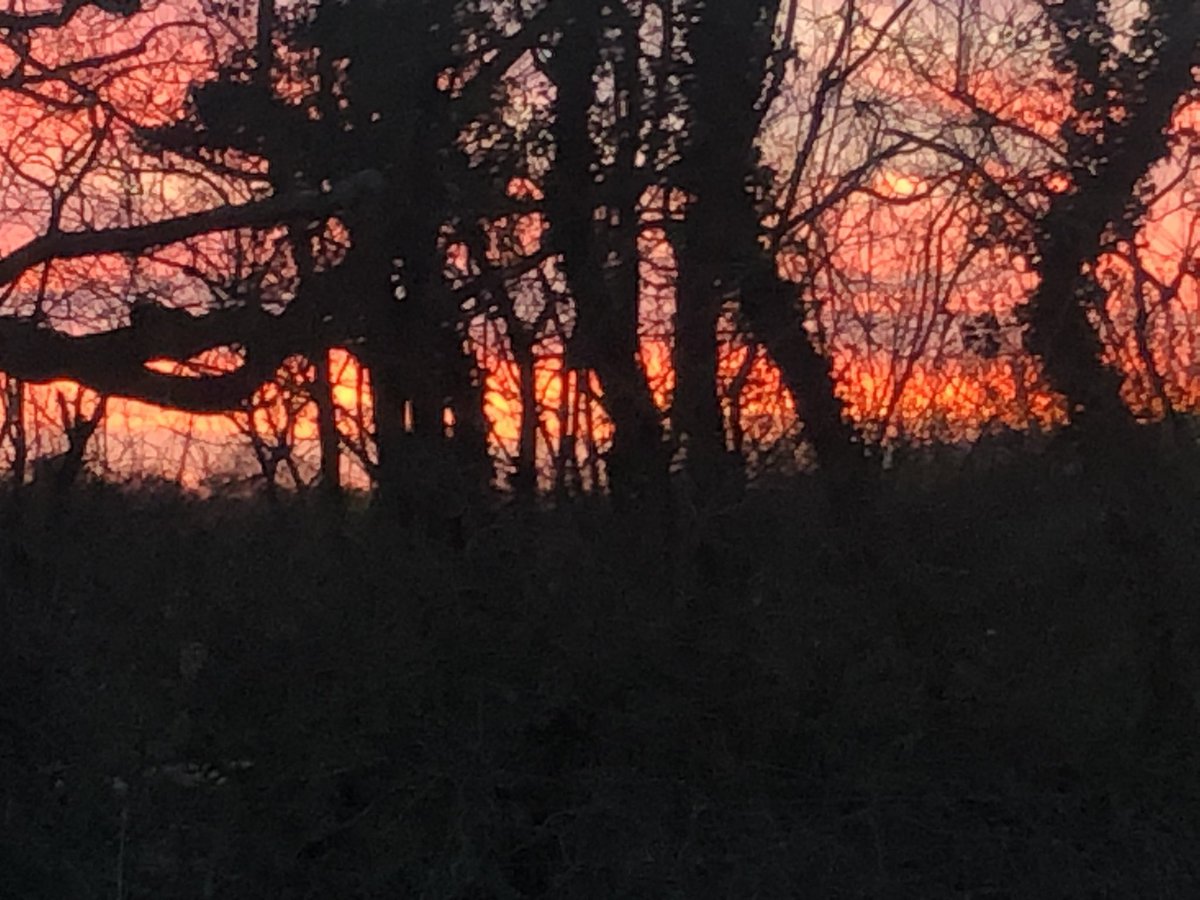 Rosie Swale Pope MBE tweet media