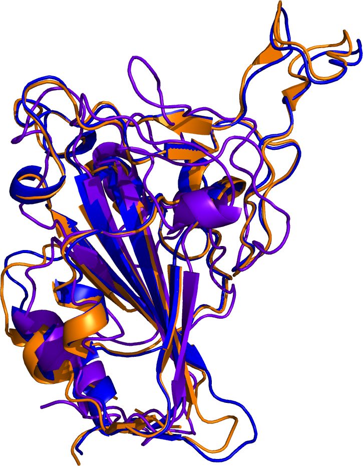 halhod's tweet image. A computational biologist called Colby Ford used DeepMind&apos;s AlphaFold software to predict the shape of Omicron&apos;s spike in November, based on its genome sequence, long before the structure was determined physically. The prediction was extremely accurate