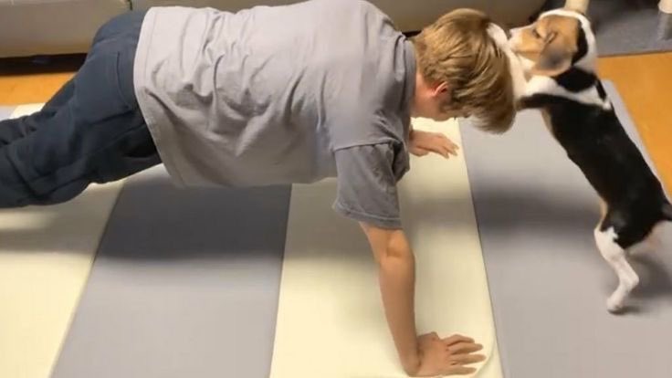 poo9932's tweet image. ขอบคุณเบลล่าที่เลี้ยงเต๋อ