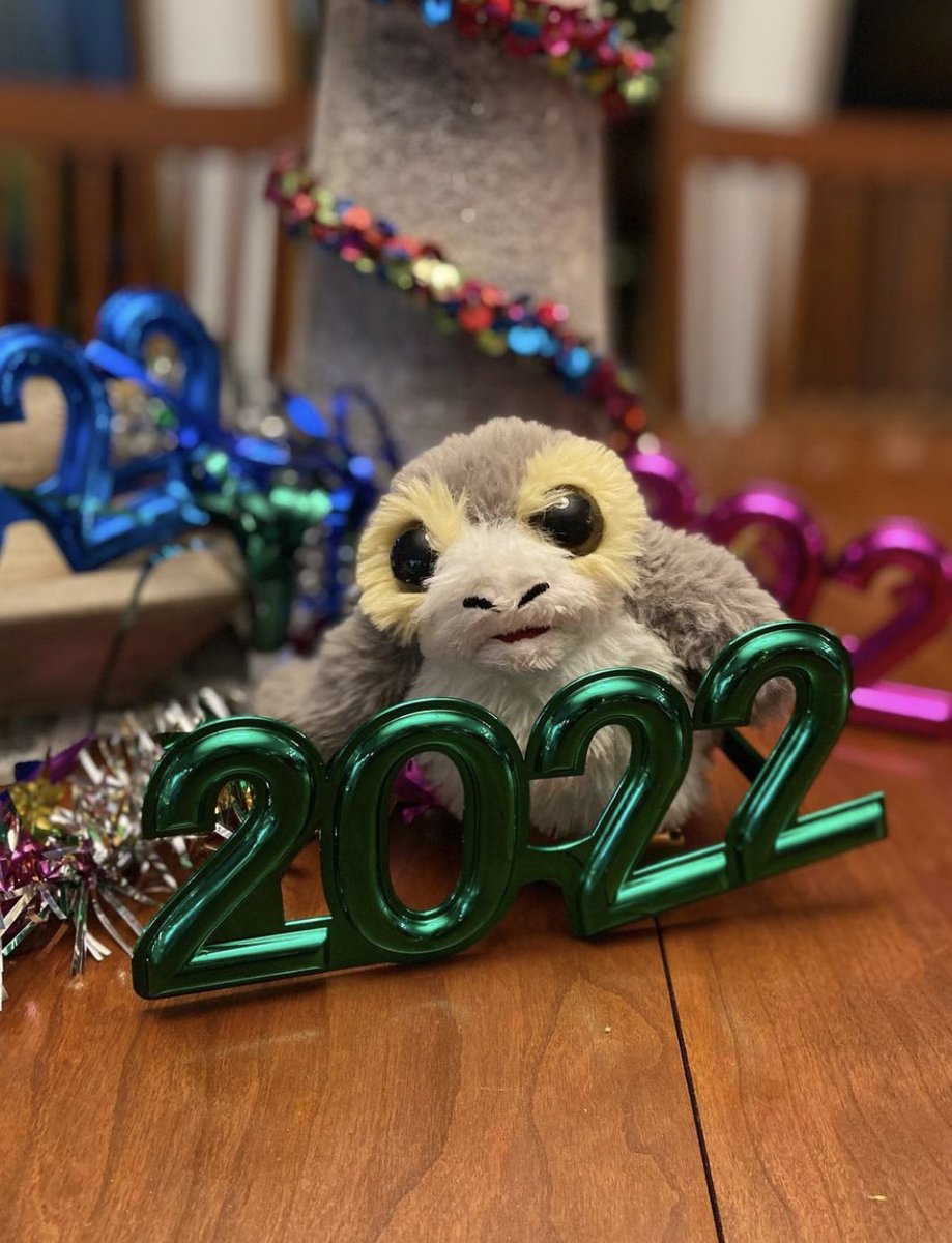 PorgPorgerson's tweet photo. Happy New Year 🎊 #porglife #HappyNewYear https://t.co/xDJc8Busqe https://t.co/GhcZxEnO6y