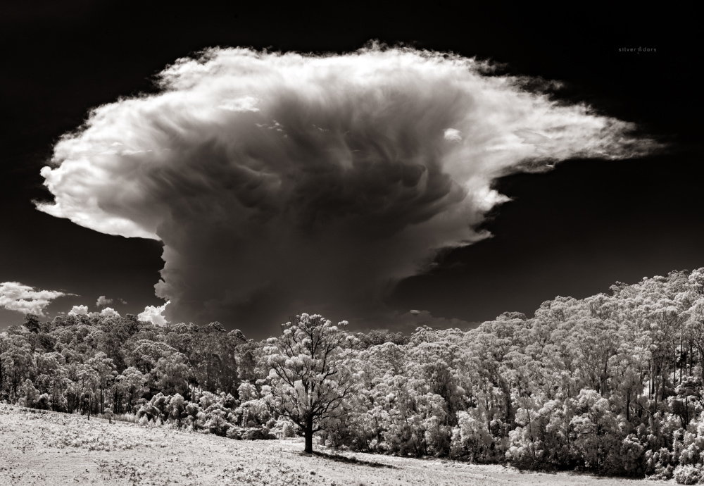 thesilverdory's tweet photo. First storm of the year building to the west of Corunna, NSW before heading north along the ranges ... #edgeoflight #nearinfrared #inthefield #summer #storms https://t.co/sArf5HNdiL