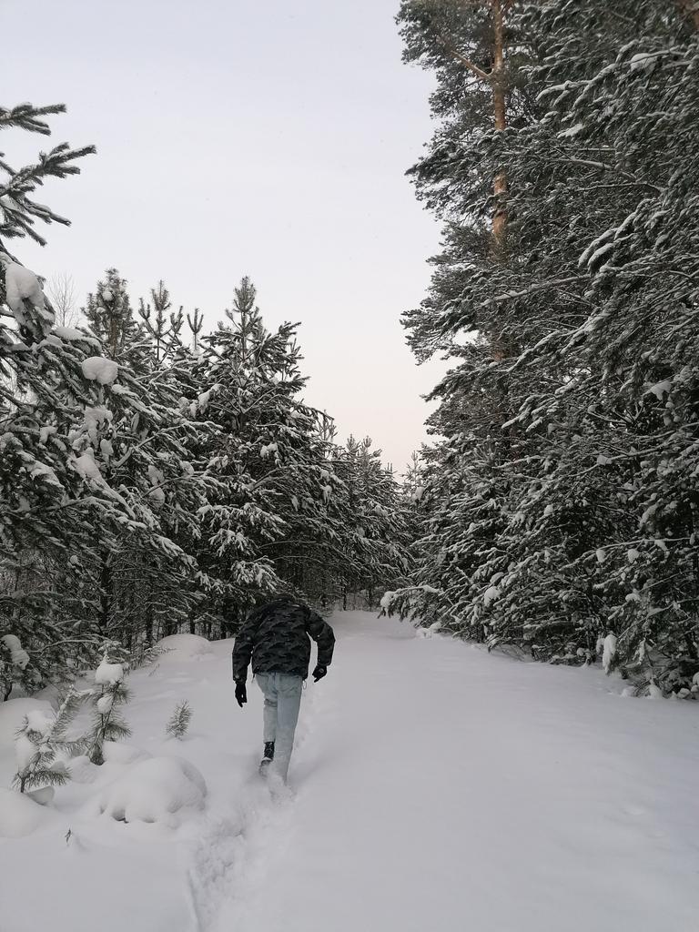 Хорошо в деревне летом