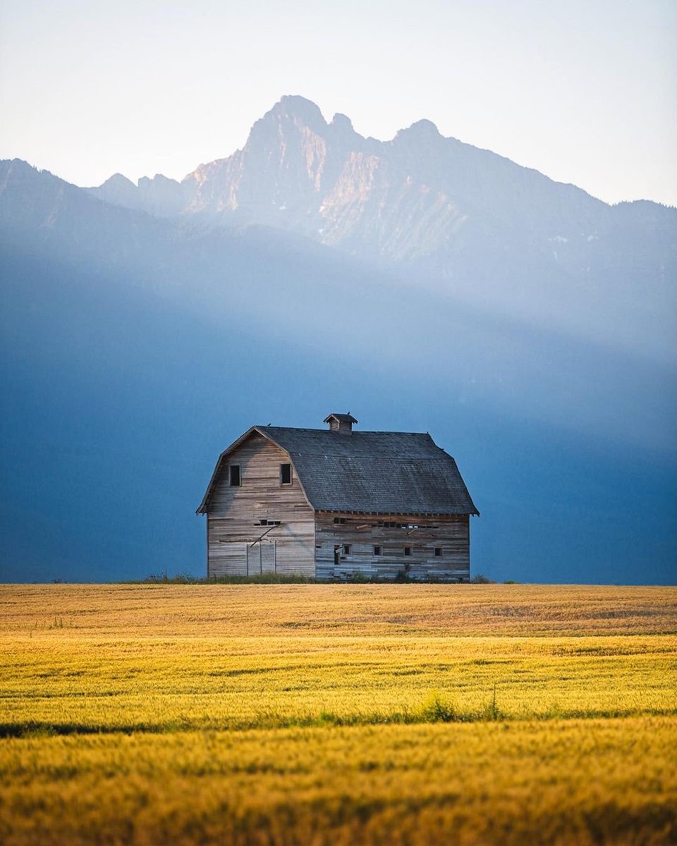 Busik_DeepHouseSouthAfrica tweet media