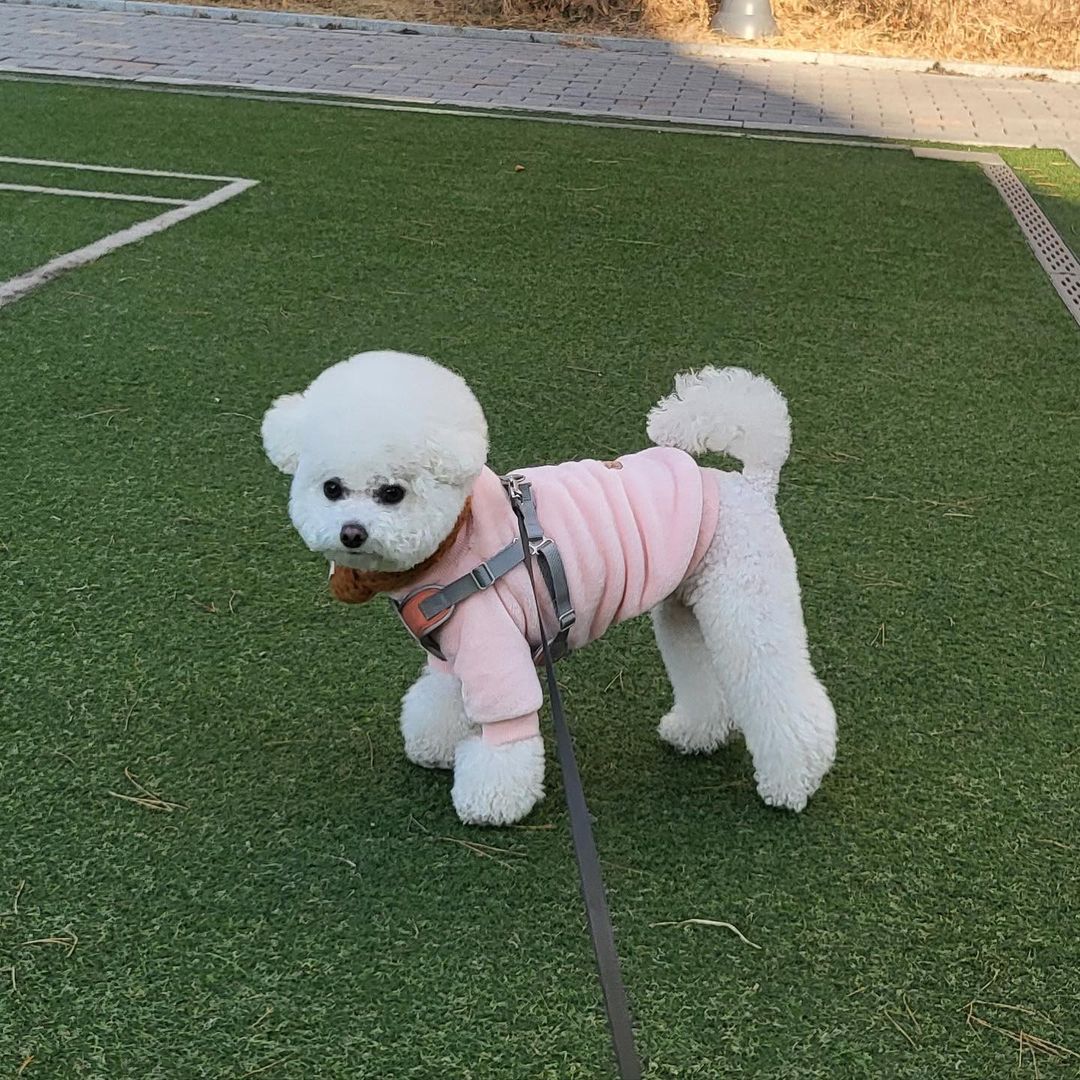 LOOK LOCK tweet media